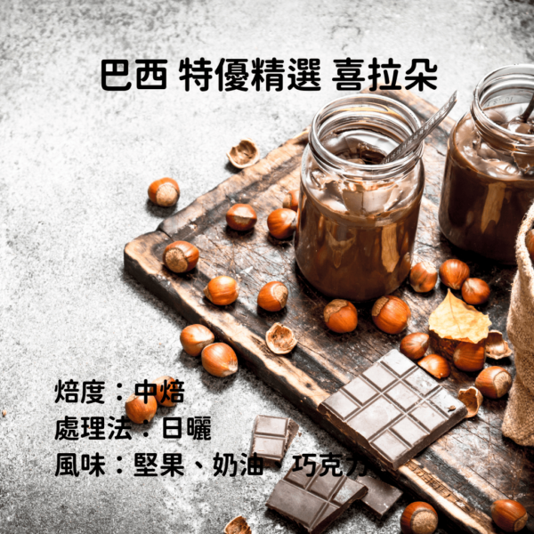 巴西 日曬 中焙 特優精選『喜拉朵』