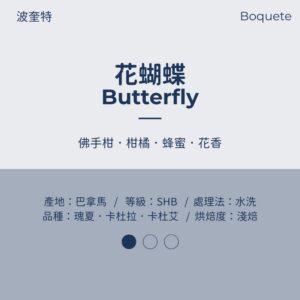 巴拿馬 水洗 淺焙 波奎特 『花蝴蝶』 70%瑰夏藝伎