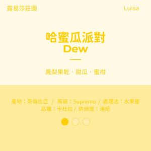 哥倫比亞 水果蜜 淺焙 路易莎莊園 『哈蜜瓜派對』