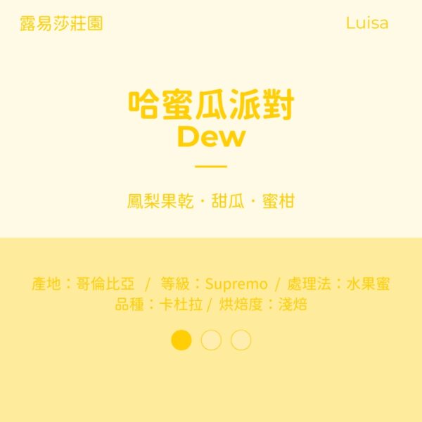 哥倫比亞 水果蜜 淺焙 路易莎莊園 『哈蜜瓜派對』