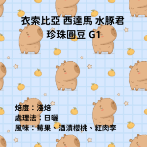 衣索比亞 日曬 淺焙 西達馬 『水豚君』G1