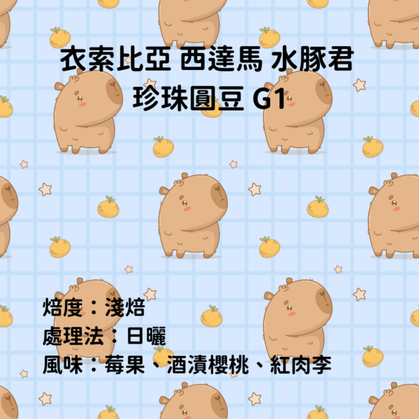 衣索比亞 日曬 淺焙 西達馬 『水豚君』G1