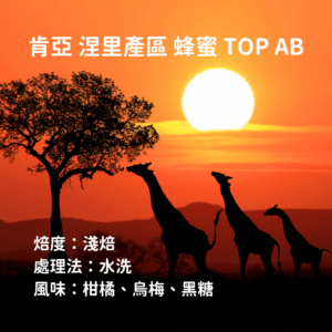 肯亞 水洗 淺焙 蜂蜜 『TOP AB』