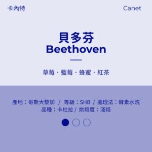 哥斯大黎加 酵素水洗 淺焙 卡內特 貝多芬