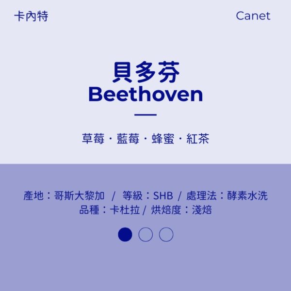 哥斯大黎加 酵素水洗 淺焙 卡內特 貝多芬