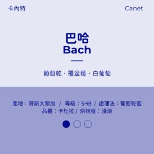 哥斯大黎加 葡萄乾蜜 淺焙 卡內特 巴哈