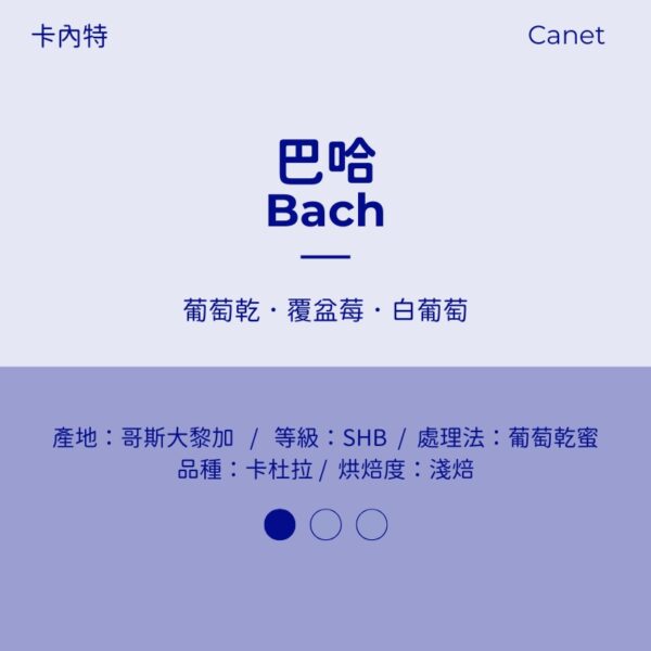 哥斯大黎加 葡萄乾蜜 淺焙 卡內特 巴哈