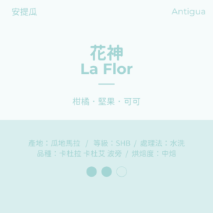 瓜地馬拉 水洗 中焙 安提瓜 拉米尼塔 花神