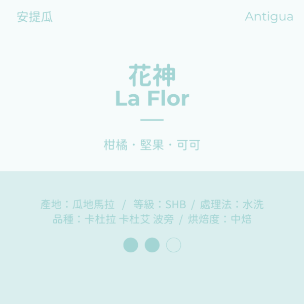 瓜地馬拉 水洗 中焙 安提瓜 拉米尼塔 花神