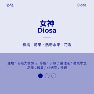 哥斯大黎加 酵素水洗 淺焙 多塔 『女神藝伎』